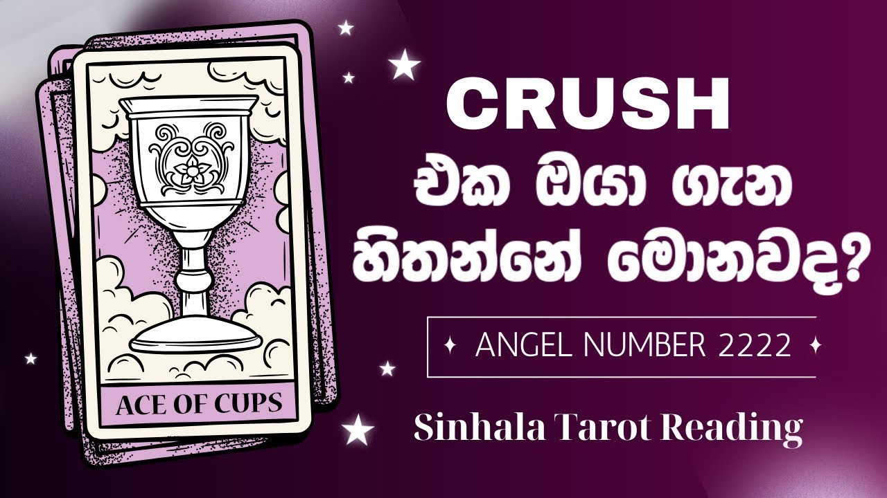 Your crush thoughts and feelings ♥️🥹🤭✨ Tarot Reading Sinhala