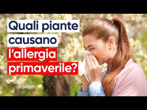 Video: Piante allergiche primaverili da evitare: piante comuni che scatenano allergie primaverili