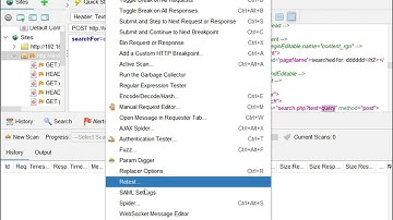 10.  ZAP params + reflect + param digger HD