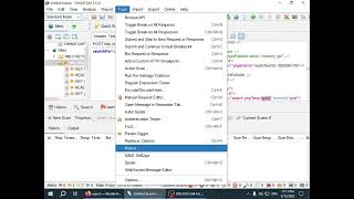 10.  ZAP params + reflect + param digger HD screenshot 2