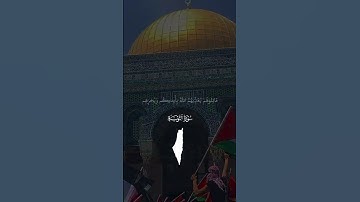 سوره التوبه تلاوه خاشعه الشيخ ياسر الدوسري 🌿❤️❤️