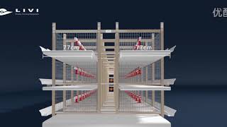 How to breed broilers in cage by automatic equipments