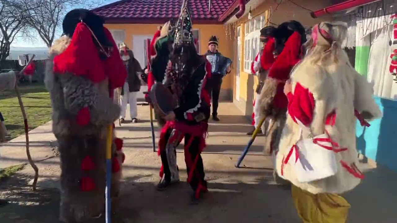 Cerbul de la Vama (2022-2023)