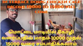 How To Do Terrace Chicken farming  monthly Income 10000 To15000 will come