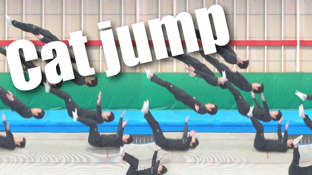 背落ち→背落ち（キャットジャンプ） Cat jump [トランポリンハウスvivace技の紹介]