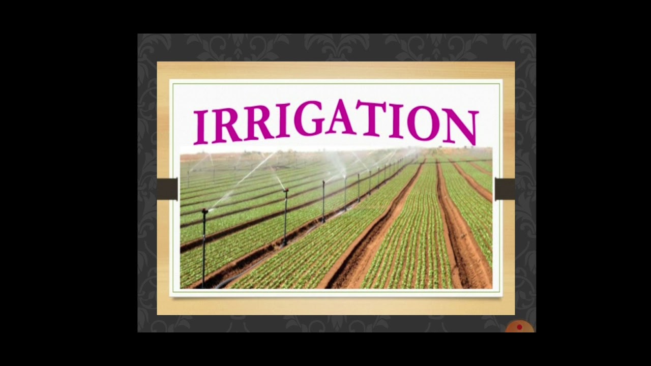 Class 4 # Evs # chapter 14 # Basva's farm