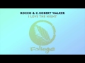 Rocco  c robert walker  i love the night louie vega roots mix