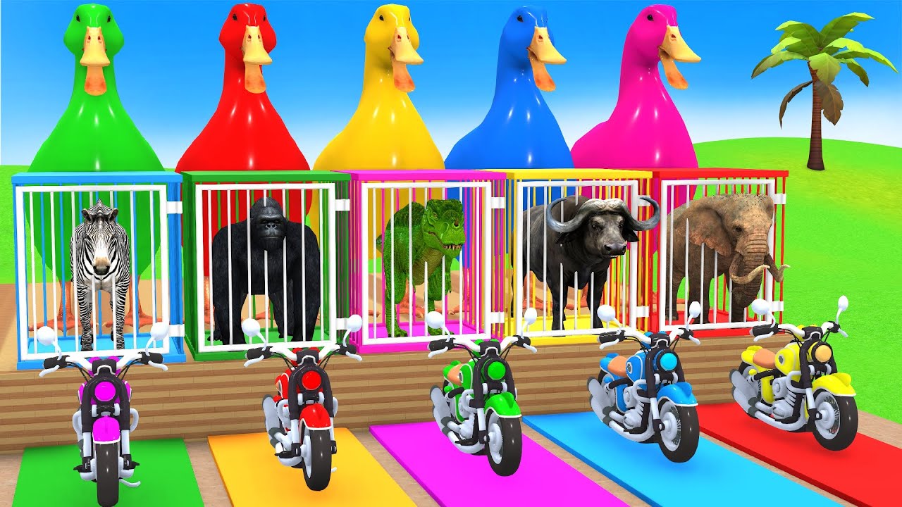 Playing as Spiderman in Long Slide Game with Cow Elephant Gorilla Hippo Tiger Funny 3d Animal Game