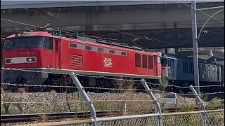 EF510-14号機[富]+EF64 1037号機[愛]牽引　高速貨物列車