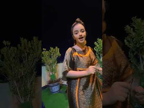 Jacayl Somalia Tiktok Duet Youtubeshorts Musicapp Reels World Arabic India Intermiami Fy