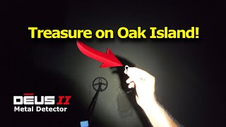 Celebrity Treasure on Oak Island! Net Worth