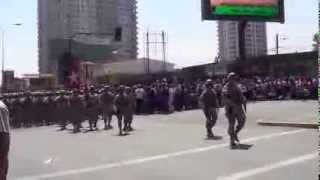 Parada Militar Antofagasta 2013