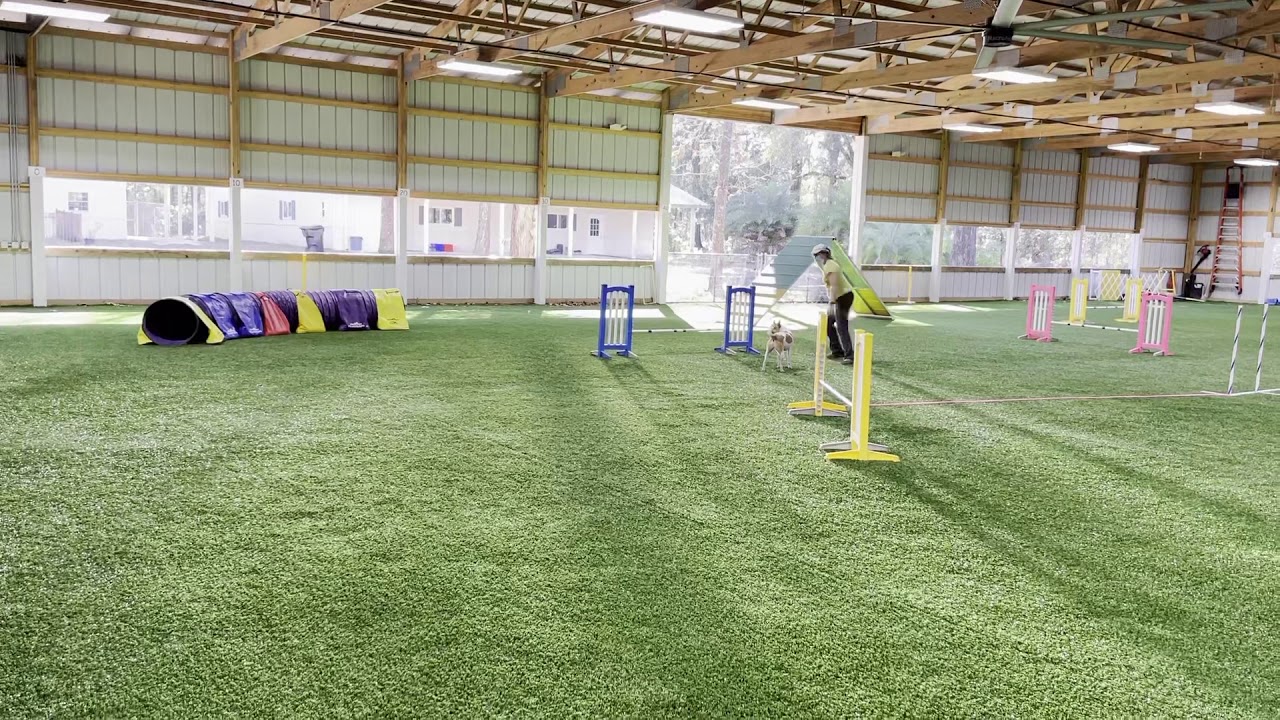 Charlie gamble 109873 m1