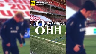 鳩も襲来。日本＆ウクライナ、両代表の前日練習。@ベルギー・リエージュ 2018.03.26