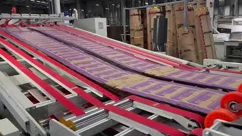 Servo control high speed stacker and stripper. The best in China,Including high stacking and bundle.