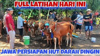 JAWA FULL LATIHAN PERSIAPAN HUT DAR4H DINGIN || ADA SAPI KELAS BESAR DAN TIM2 SUPER LAINNYA ‼️