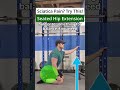 Seated Hip Extension Exercise Tutorial