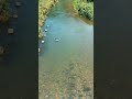 用水路しか流れれないくせに!