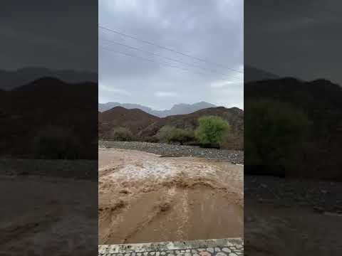 وادي المسقاة ولاية سمائل 6 8 2023 اليوم سلطنة عمان أمطار مطر وديان