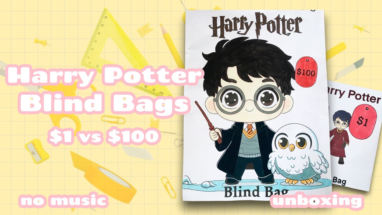 $1 vs $100 Harry Potter Blind Bags unboxing! | asmr | paper diy