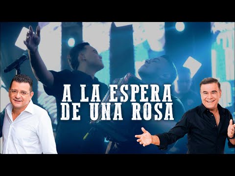 A La Espera De Una Rosa | Daniel Restrepo & Jafid Nazar (Iván Villazón) Autor: Curry Carrascal