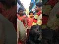simple ah நடந்த நண்பரின் திருமணம்..🥰 congratulations 💐 #wedding #viral #cute