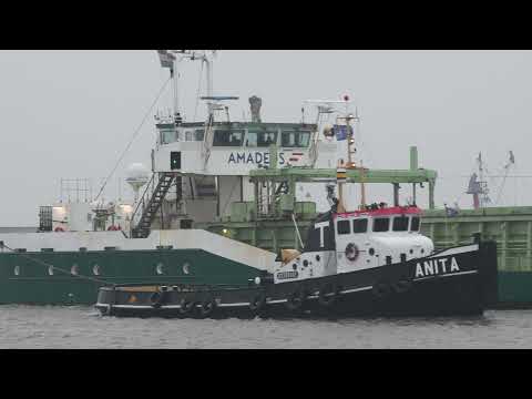 #Amadeus #Aquamarijn haven van Harlingen binnen gebracht na aanvaring op Noordzee (23-12-2021)
