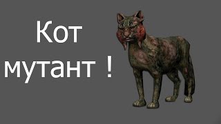 Кот мутант ! Кот мутант !