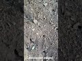 Самовольщики в многоэтажке, Ростов-на-Дону, 2025