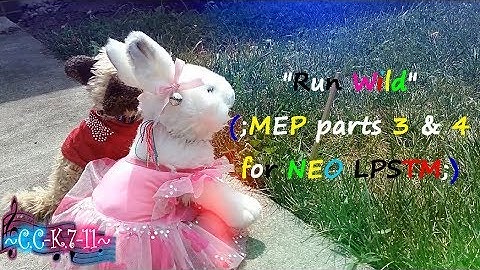 ~ Parts 3 and 4 for Neo LPSTM