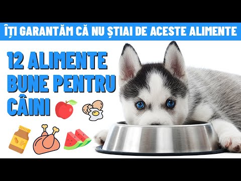 Video: Atunci când Teats Nursing Dogs 'Înapoi la Normal?