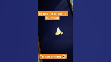 #linux #error #android #shorts #video #tiktok #мем #meme #memes #fyp #пжрек
