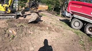 excavator stubborn tree stump no problem.