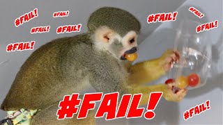 Video Gone Wrong...Tiny Tomato FAIL #bloopers