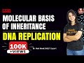 DNA Replication | MOLECULAR BASIS OF INHERITANCE Class 12 | CBSE Biology | NCERT | Vedantu VBiotonic