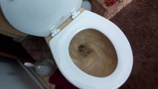Flush Test 2