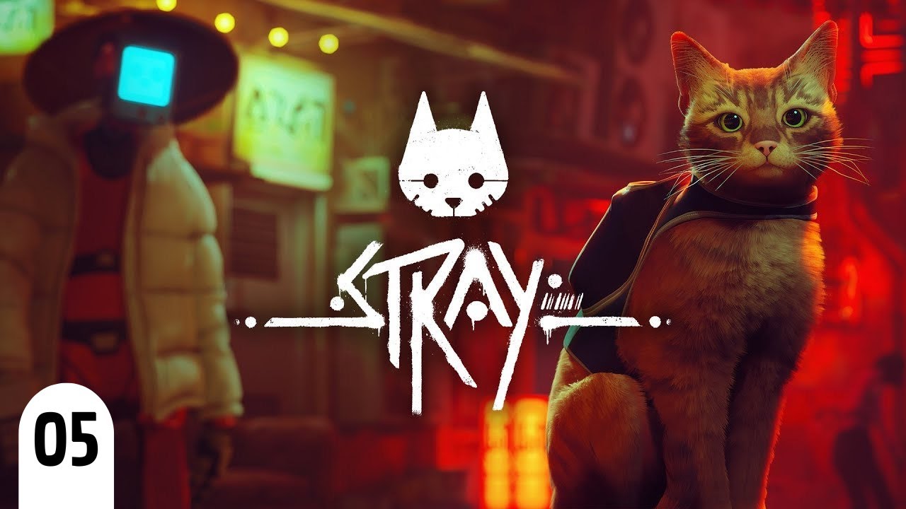 05 (stray)