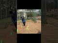 I will be unstoppable #cricket #fyp #foryou #foryoupage #explore #explorepage #feed #youtube #shorts