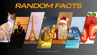🌍 65 Random Facts You Won’t Believe in 7 minutes! #randomfacts  #MindBlown #FunLearning Profile