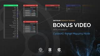 Premium Training - Bonus Videos - Cycles 4D Range Mapping Node