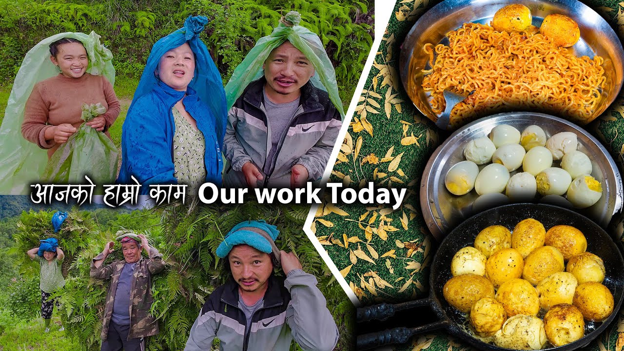 Our daily routine today || Fry Noodles & egg recipe cooking & eating || New Nepali Village life Vlog