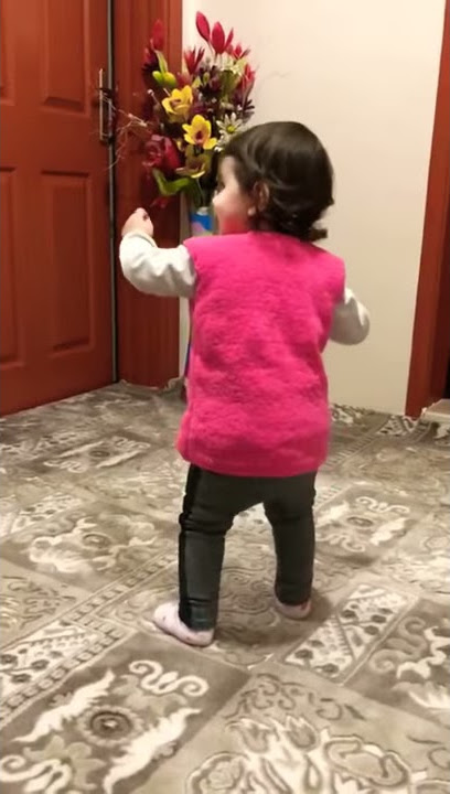 Ayşe Erik dalı oynuyor //