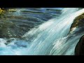 Avene「アベンヌ温泉水について（テルマリズムツアー）」