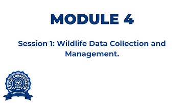 Module 4: Session 1 Wildlife Data Collection using Survey 123 (02/09/2025)