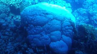 10 minutes underwater in submarine - Marsa Mubarak (Egypt)