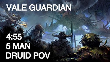 GW2 [nxs] Vale Guardian 5 man | 4:55 | Druid PoV