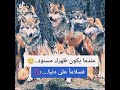 عندما يكون ضهرك مسنود فسلاما على دنيا