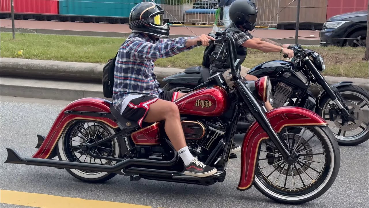 Harley Rider, Hamburg, Germany, 2025, Part  1 in 4 K #harley #custom #harleydavidson