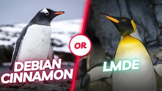 LMDE or Debian with Cinnamon: Which is the better choice? You should know this beforehand!