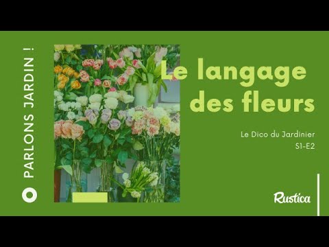 Vidéo: Le langage des fleurs - Dites merci avec ces plantes